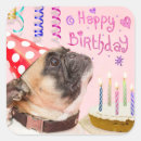 Search for birthday pug stickers Cute