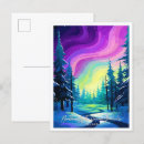 Search for northern lights postcards Nature