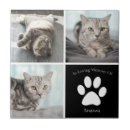 Search for pet photo tiles Cute