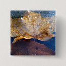 Search for autumn leaf badges Nature