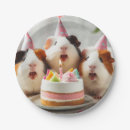 Search for pig plates Guinea pigs