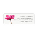 Search for nice return address labels Classy