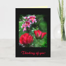 Search for shrubs cards Leaves
