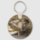 Search for monkey key rings Photography
