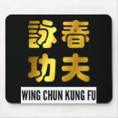 Search for kung fu electronics Fighter
