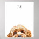 Search for cockapoo posters Watercolor