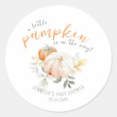 Search for cute little pumpkin stickers Autumn fall