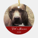 Search for pitbull christmas tree decorations Pet