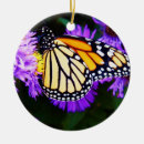 Search for aster christmas tree decorations Nature