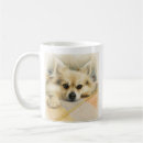 Search for pet portraits mugs Chihuahua