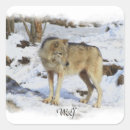 Search for snow wolf stickers Wolves
