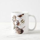 Search for north american bird mugs Songbird