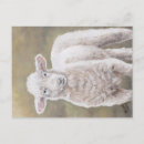Search for wooly postcards Farm