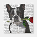 Search for boston magnets Cute boston terriers