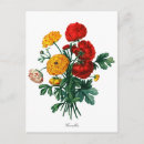 Search for camellia flower postcards Floral