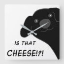 Search for newfoundland art Animals