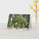 Search for courtyard cards Flowers