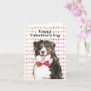 Search for bernese mountain dog valentines day cards Heart