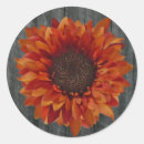 Search for barnwood stickers Sunflower