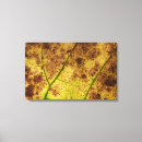 Search for macro canvas prints Leaves