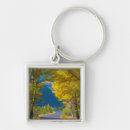 Search for aspen colorado key rings Rocky mountains