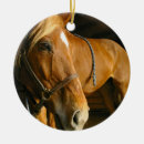 Search for chestnut horse christmas tree decorations Thoroughbred