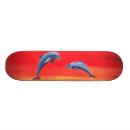 Search for dolphin skateboards Sunset