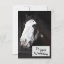 Search for farm animal birthday cards Equine