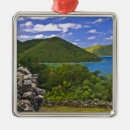 Search for east coast christmas tree decorations Caribbean