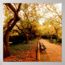 Search for central park posters New york