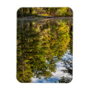 Search for pond reflection magnets Foliage