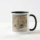 Search for lion cub mugs Animal body part