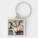 Search for sled dog key rings Husky