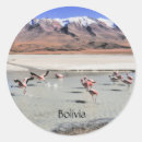 Search for bolivia stickers South america