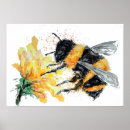 Search for bumble bee posters Insect