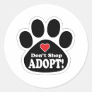 Search for puppy kitten stickers Cat