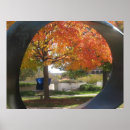 Search for maples posters Foliage