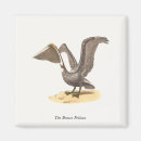 Search for pelicans magnets Brown pelican