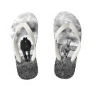 Search for horse shoes Mare