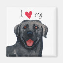 Search for black lab magnets Black labrador retriever