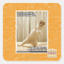 Search for yas stickers I can has cheezburger