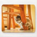 Search for flooring mouse mats One animal