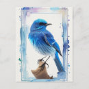 Search for mountain birds postcards Watercolor
