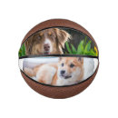 Search for photo basketballs Cute