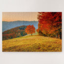 Search for autumn tree Outdoor