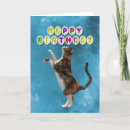 Search for calico cat birthday cards Animal