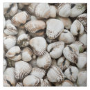 Search for clam tiles Seafood