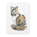 Search for calicos magnets Animals