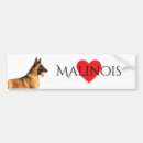 Search for malinois bumper stickers Dog