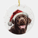 Search for labrador dog christmas decor Watercolor